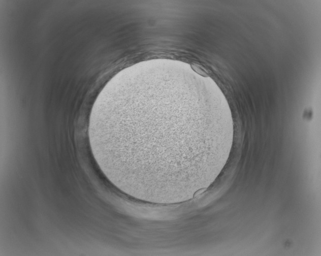 X0000116770040201001281642