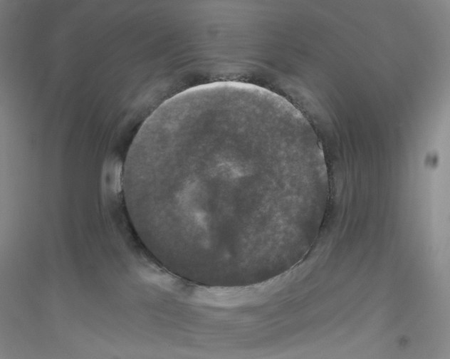 X0000116770041201001281642