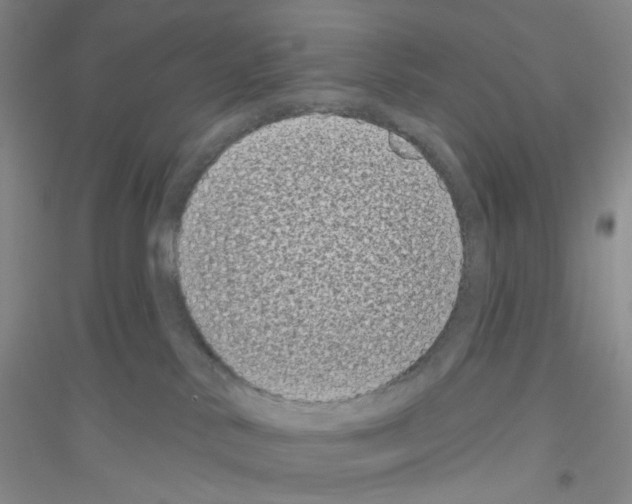 X0000116770042201001281642