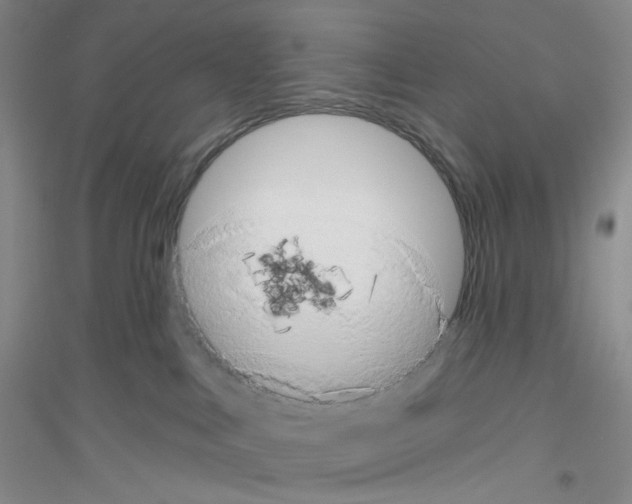 X0000116770043201001281642