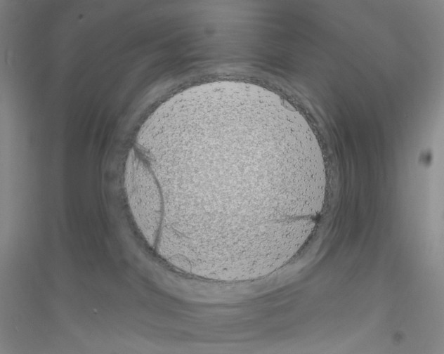 X0000116770044201001281642