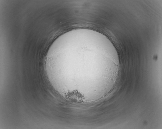 X0000116770045201001281642