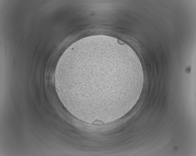 X0000116770046201001281642