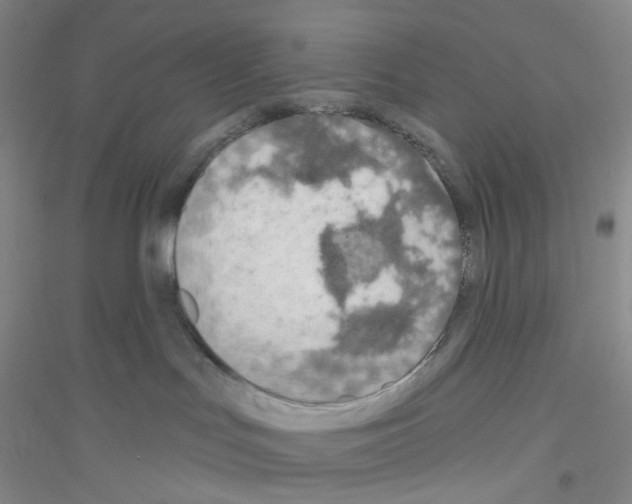 X0000116770047201001281642