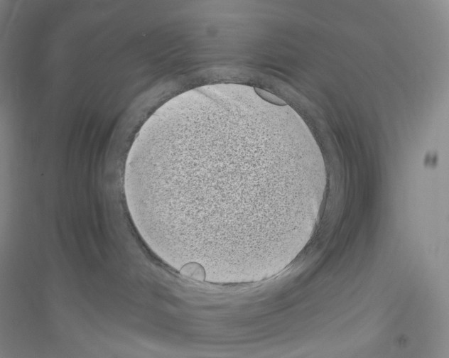 X0000116770048201001281642