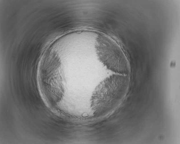 X0000116770049201001281641