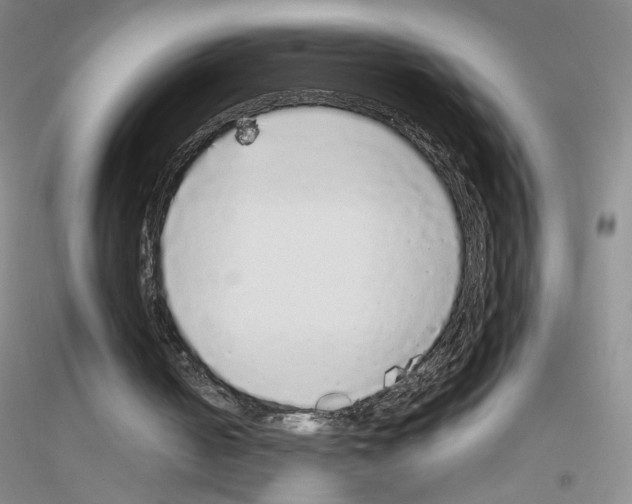 X0000116770050201001281641