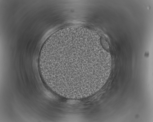 X0000116770051201001281641