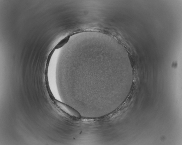 X0000116770052201001281641