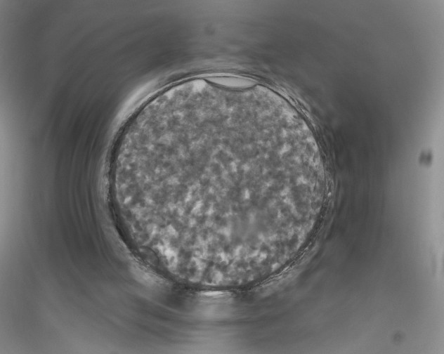 X0000116770053201001281641