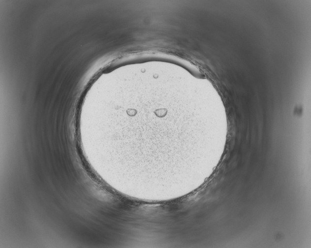 X0000116770054201001281641
