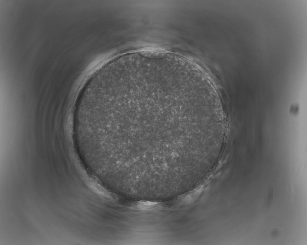 X0000116770055201001281641