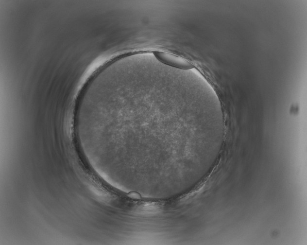 X0000116770056201001281641