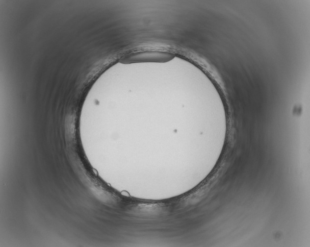 X0000116770057201001281641