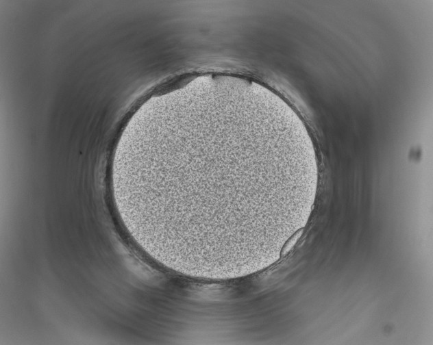 X0000116770058201001281642