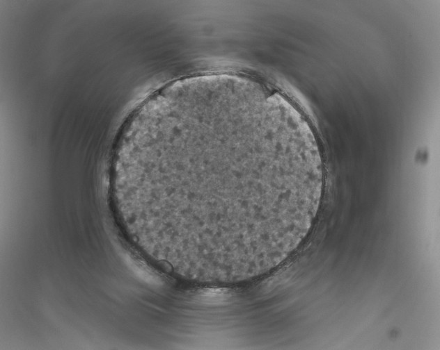 X0000116770059201001281642
