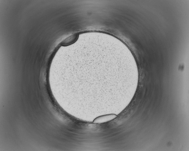 X0000116770060201001281642