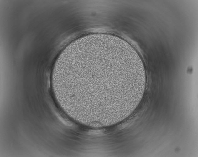 X0000116770061201001281642