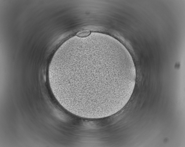 X0000116770062201001281642