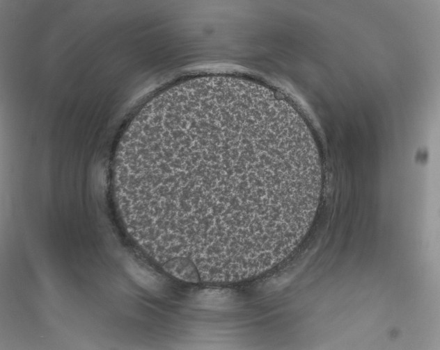 X0000116770063201001281642