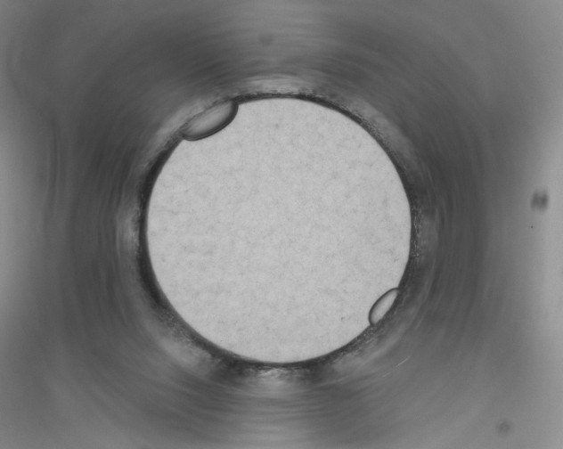 X0000116770064201001281642
