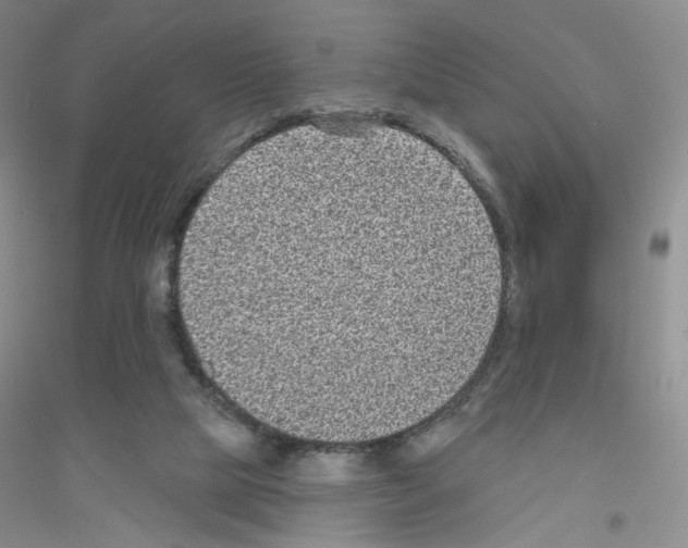 X0000116770065201001281642