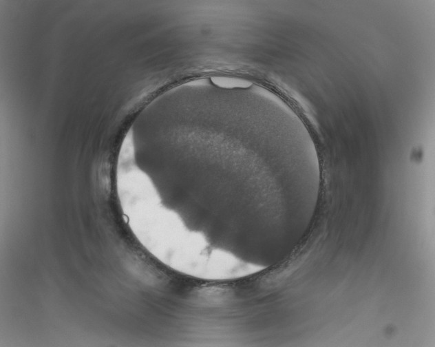 X0000116770067201001281642