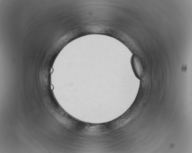 X0000116770072201001281642