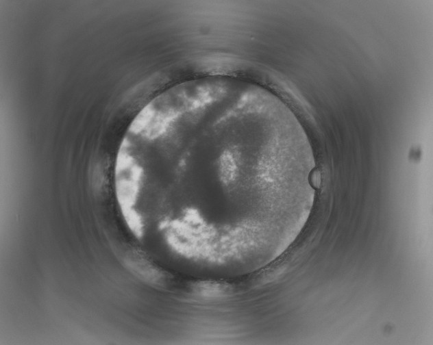 X0000116770073201001281642