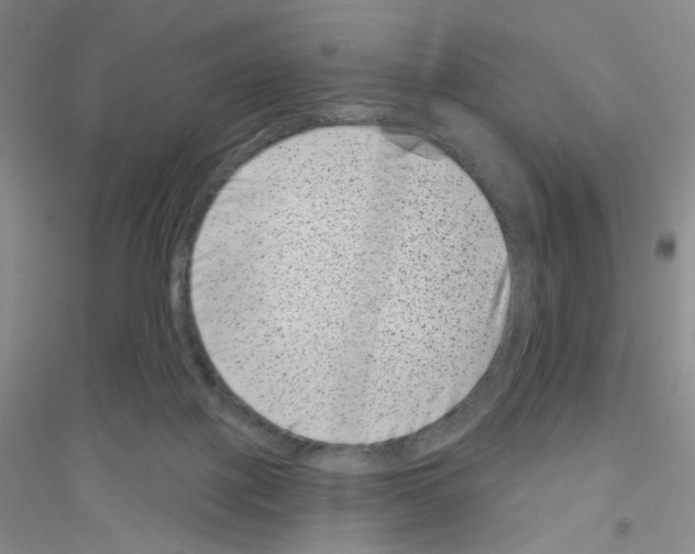 X0000116770075201001281642