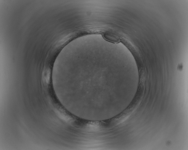 X0000116770076201001281642