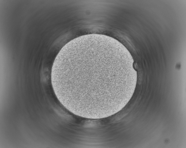 X0000116770077201001281642
