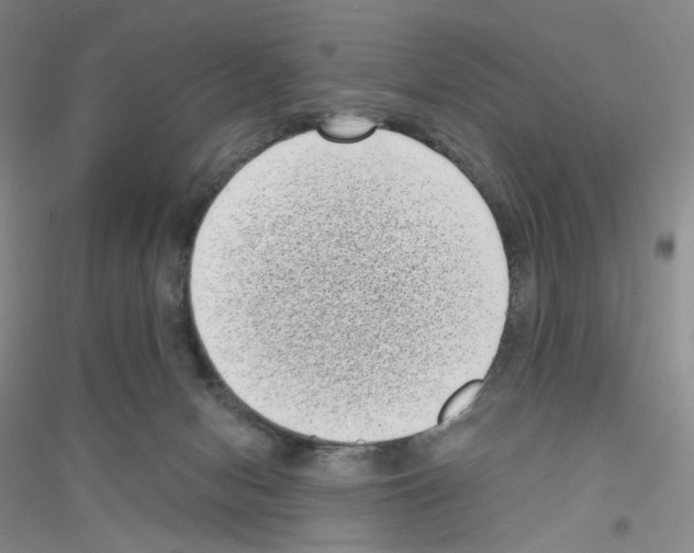 X0000116770078201001281642
