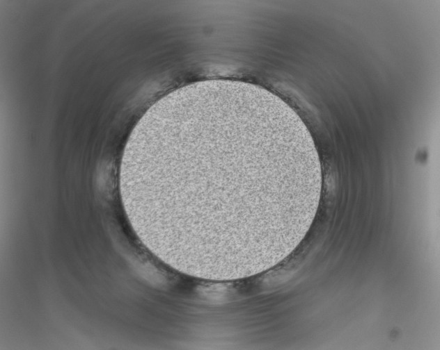 X0000116770079201001281642