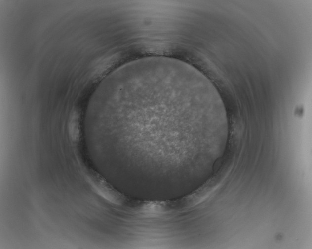 X0000116770080201001281642