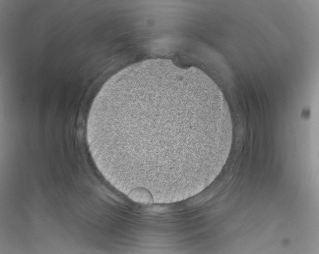 X0000116770081201001281642