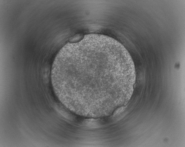 X0000116770082201001281642