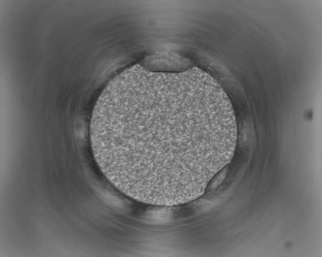 X0000116770084201001281642