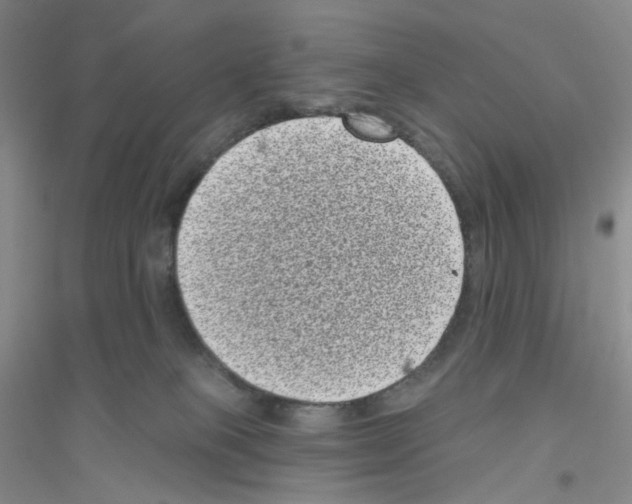 X0000116770085201001281642