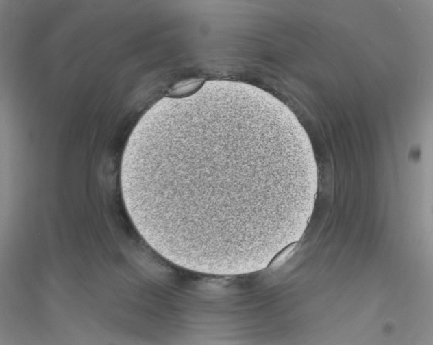 X0000116770086201001281642