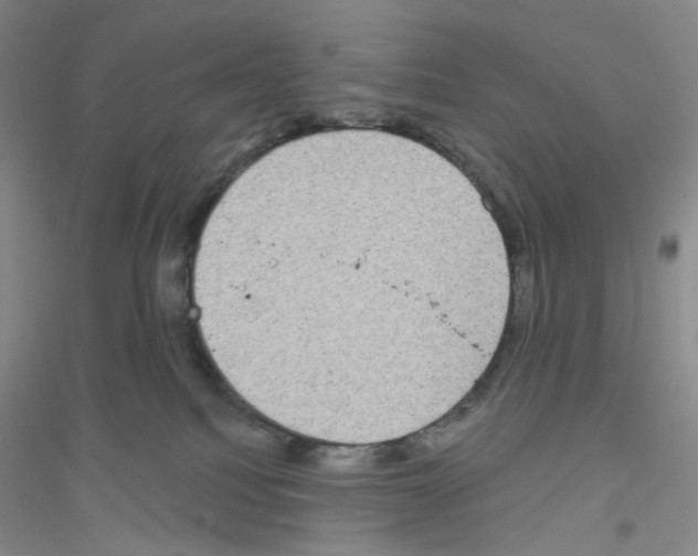 X0000116770088201001281642