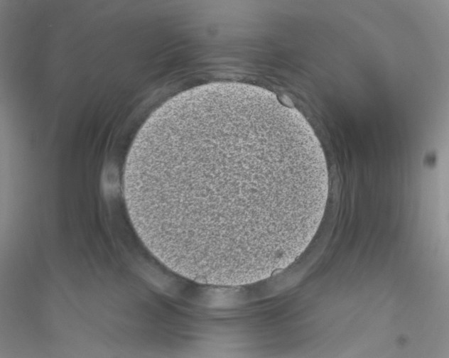 X0000116770089201001281642