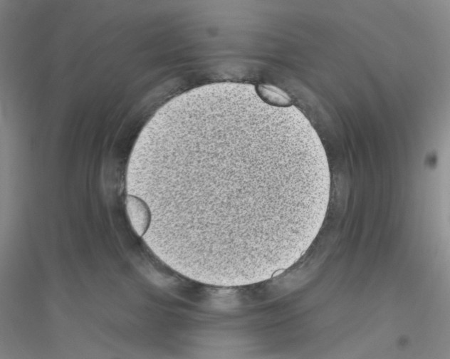 X0000116770091201001281642