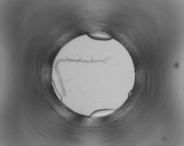 X0000116770092201001281642