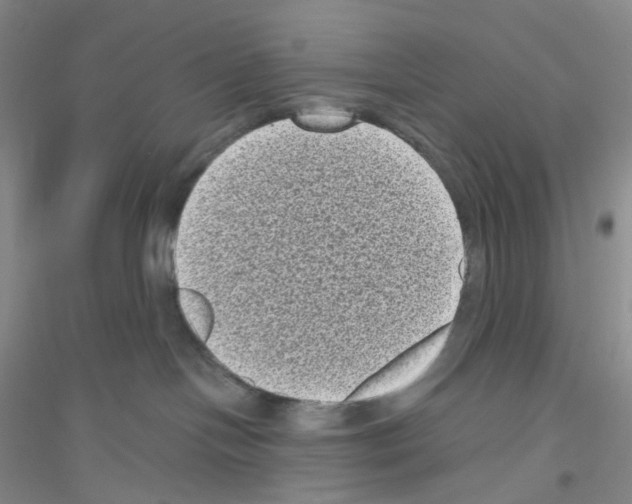 X0000116770094201001281642
