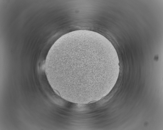 X0000116770095201001281642