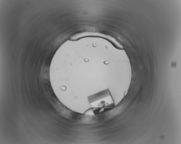 X0000116770096201001281642