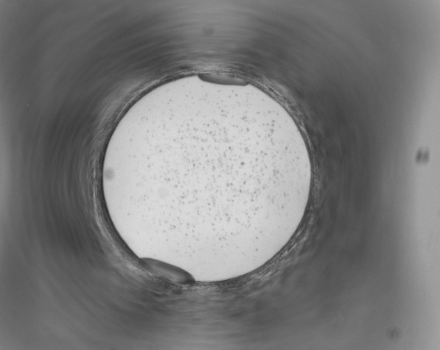 X0000116770097201001281641