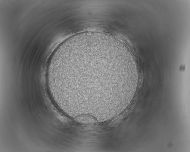 X0000116770098201001281641