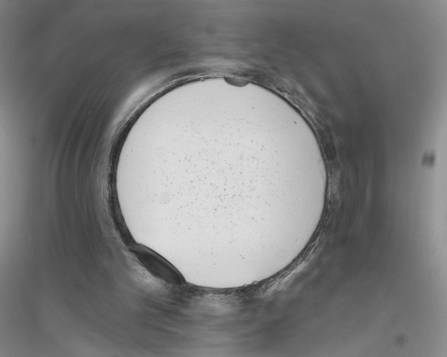 X0000116770101201001281641
